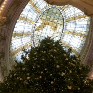 2018 Neiman Marcus tree and dome