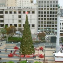 2018 tree union square