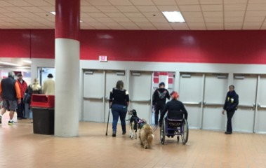 service dogs leaving